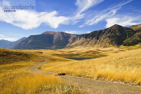 Berg  See  Wiese  Waterton Lakes Nationalpark