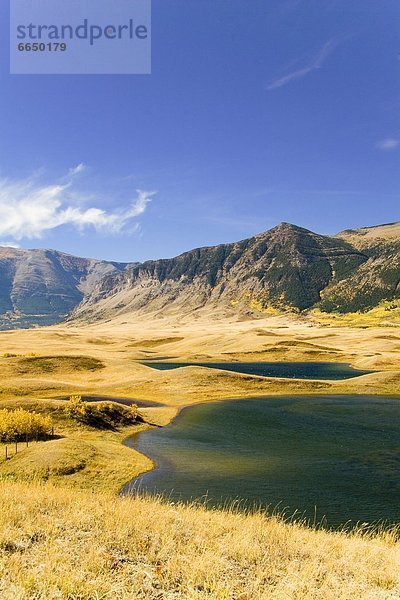 Berg  See  Wiese  Waterton Lakes Nationalpark