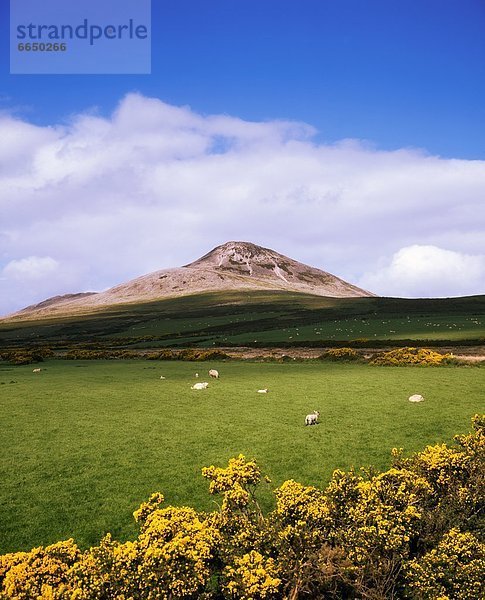 County Wicklow  Irland