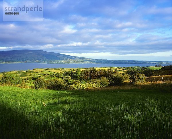 Irland