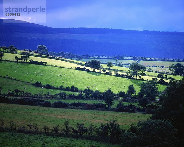 County Antrim  Irland