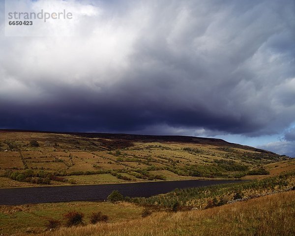 County Cavan  Irland