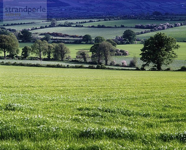 Landschaft  Irland