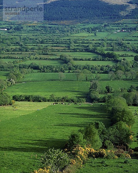 County Tipperary  Irland