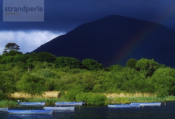 Lough Leane  Kerry County  Killarney Nationalpark  Irland