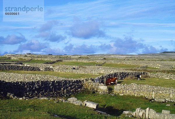 County Galway  Irland