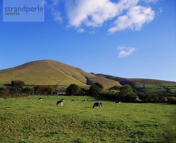 County Tipperary  Irland