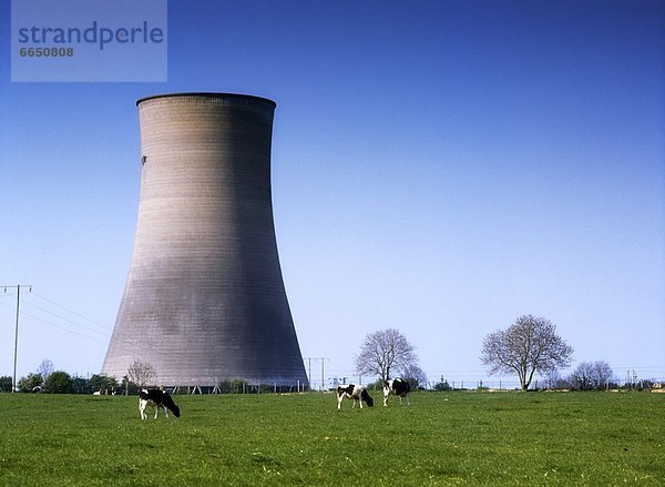 Atomkraftwerk Irland