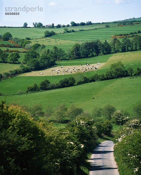 County Wicklow  Irland