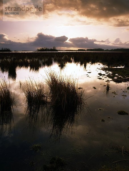 County Antrim  Irland