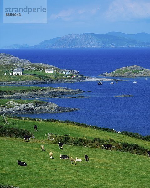 Beara-Halbinsel  Irland