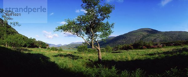 Kerry County  Irland