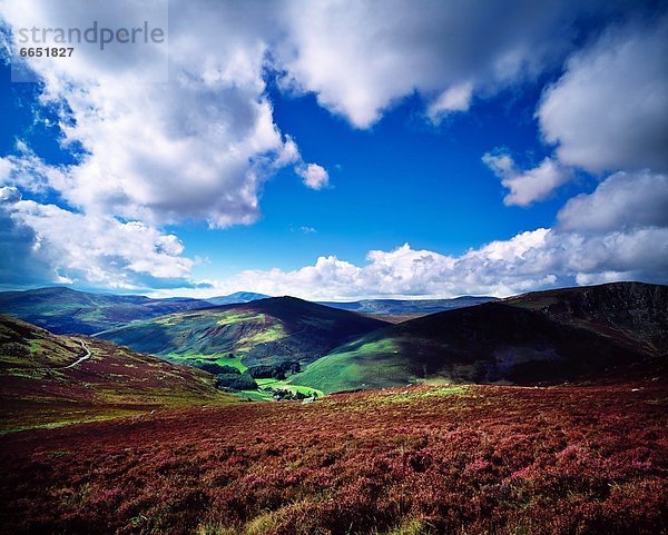 County Wicklow  Irland