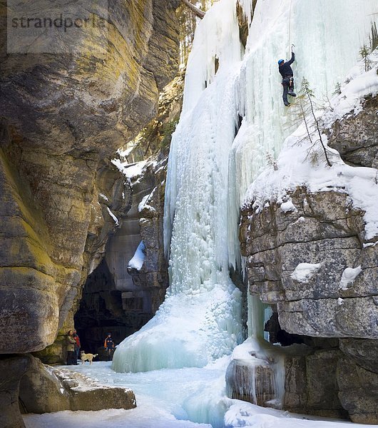 sehen  Eis  Wasserfall  Klettern  Jasper Nationalpark  Alberta  Kanada  gefroren