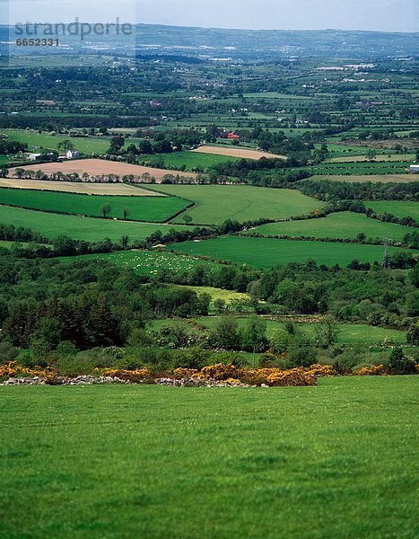 Ländliches Motiv  ländliche Motive  Irland