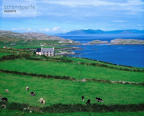 Beara-Halbinsel  Irland