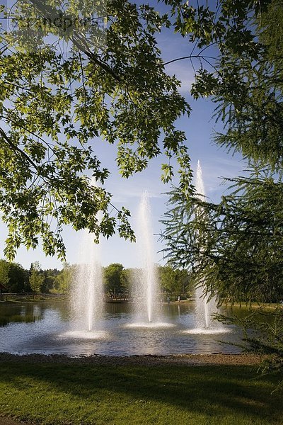 Springbrunnen  Brunnen  Fontäne  Fontänen  3