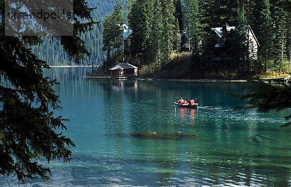 Wald  Fluss  Kanu  umgeben