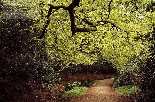 Europa  Derbyshire  England