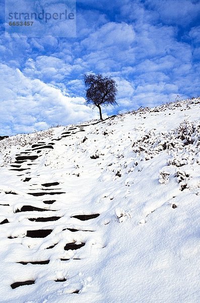 Derbyshire  England