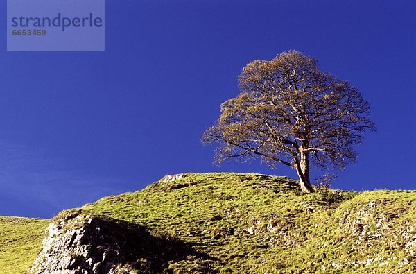 Derbyshire  England