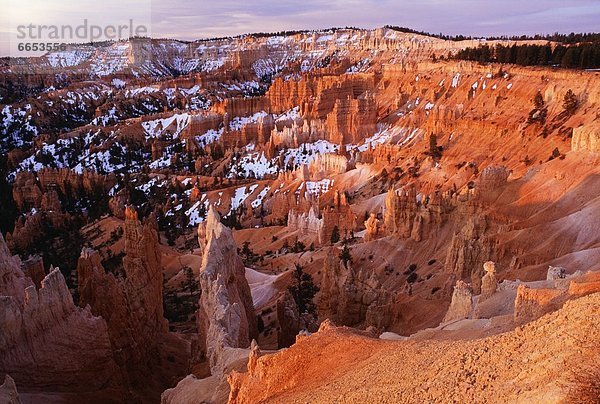 Vereinigte Staaten von Amerika  USA  Bryce Canyon Nationalpark  Utah