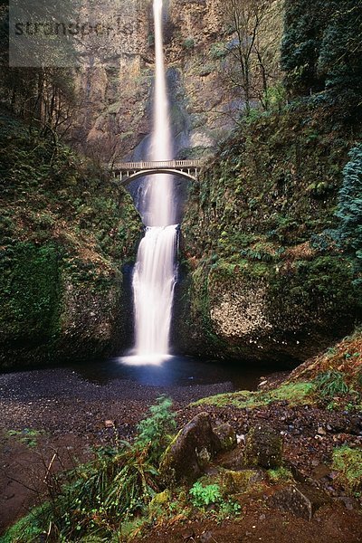 Vereinigte Staaten von Amerika  USA  Multnomah Falls  Columbia River Gorge  Oregon