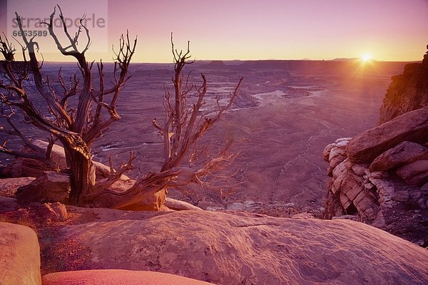 Vereinigte Staaten von Amerika  USA  Canyonlands Nationalpark  Utah