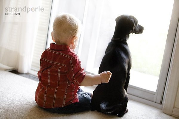 sitzend  Junge - Person  Hund