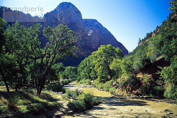 Vereinigte Staaten von Amerika  USA  Zion Nationalpark  Utah