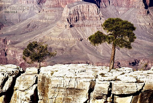 Vereinigte Staaten von Amerika  USA  Colorado