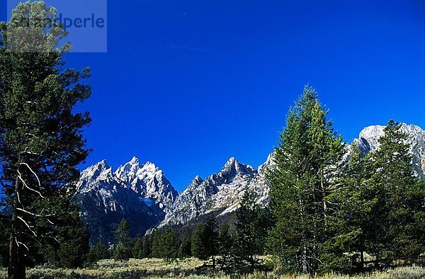 Vereinigte Staaten von Amerika  USA  Grand Tetons  Wyoming