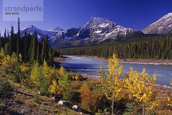 Banff Nationalpark  Alberta  Kanada