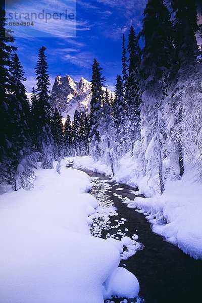 Yoho Nationalpark  British Columbia  Kanada