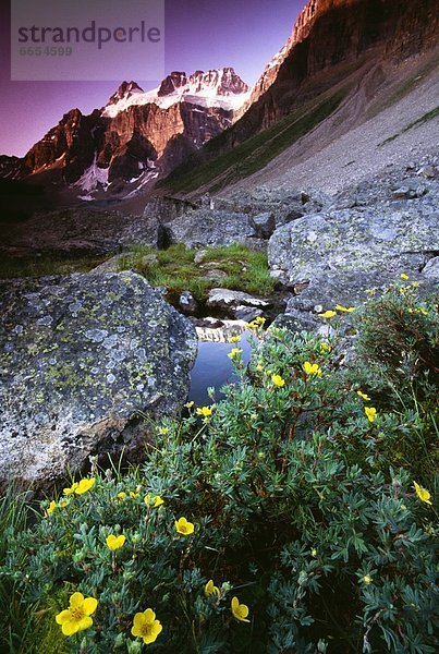 Banff Nationalpark  Alberta  Kanada