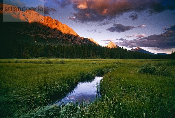 Peter Lougheed Provincial Park  Alberta  Kanada