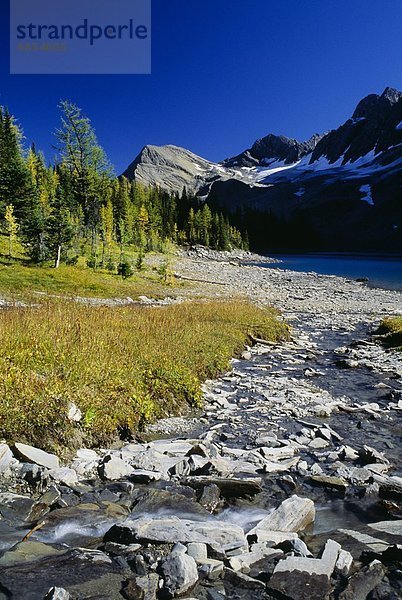 Kootenay Nationalpark  British Columbia  Kanada