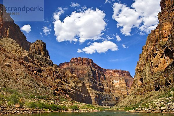 Grand Canyon  Arizona  Usa