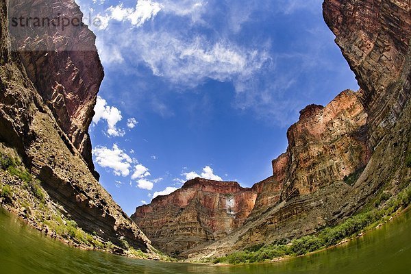 Grand Canyon  Arizona  Usa