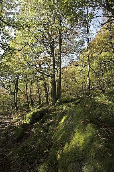 Derbyshire  England  Peak District