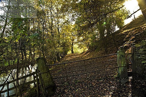 Derbyshire  England  Peak District National Park