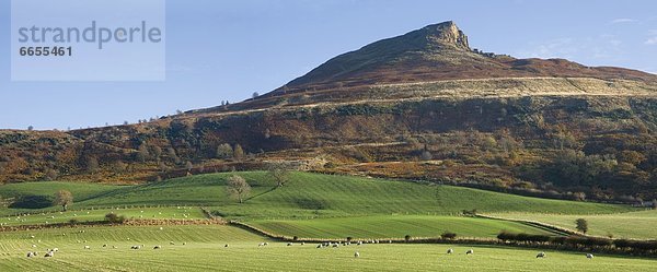 Yorkshire and the Humber  England