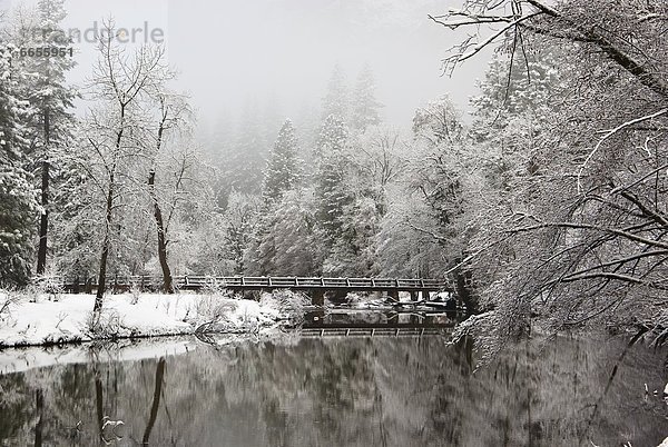 Yosemite Nationalpark  Kalifornien  USA