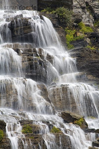 Vereinigte Staaten von Amerika  USA  Glacier Nationalpark