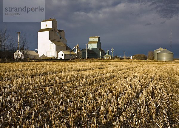 Alberta Kanada