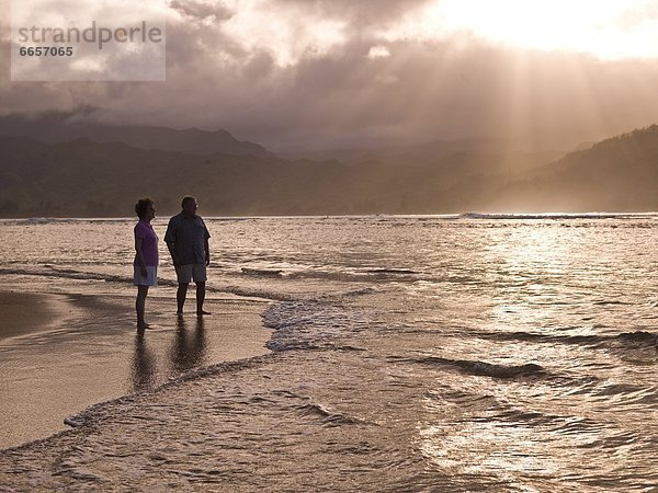 Vereinigte Staaten von Amerika  USA  Strand  Hawaii  Kauai