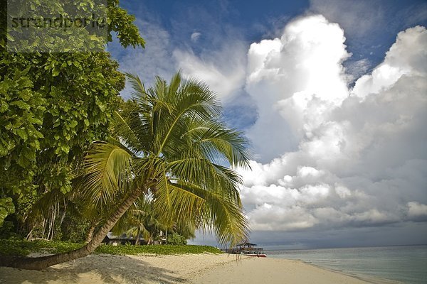 Südostasien  Malaysia  Sabah