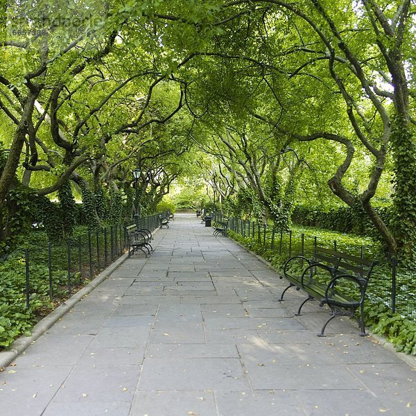 Central Park  New York  USA