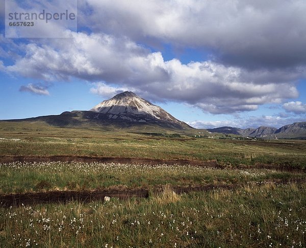 Berg  bedecken  Schnee