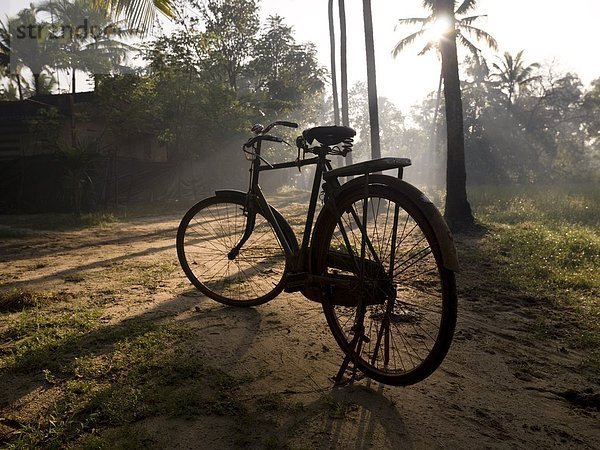 Fahrrad  Rad  Indien  Kerala